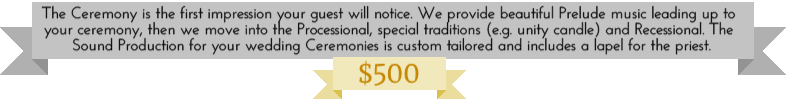 ribbon header wide with price